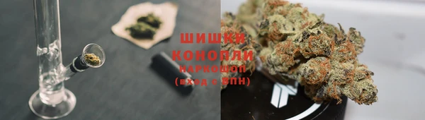 СК Белокуриха