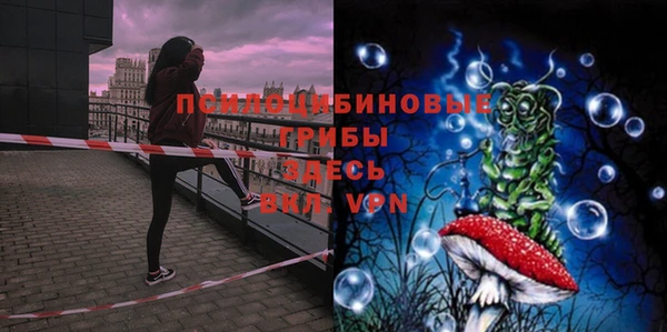 СК Белокуриха