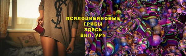 СК Белокуриха