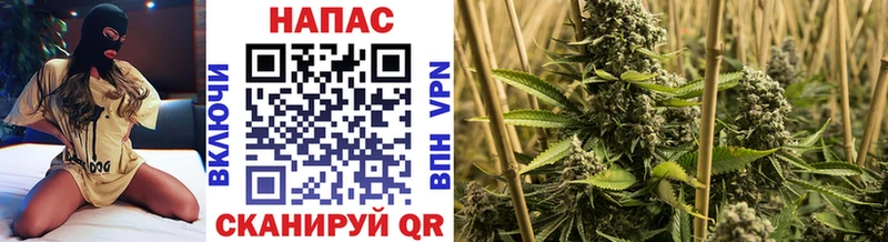 hydra сайт Озёрск Каннабис семена